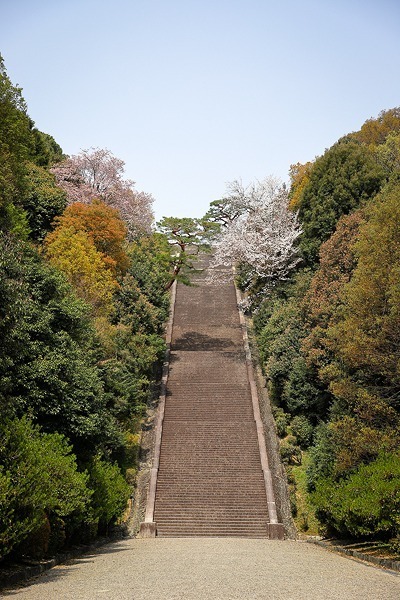 縦構図と横構図 どっち Ef Ef Sを楽しもう